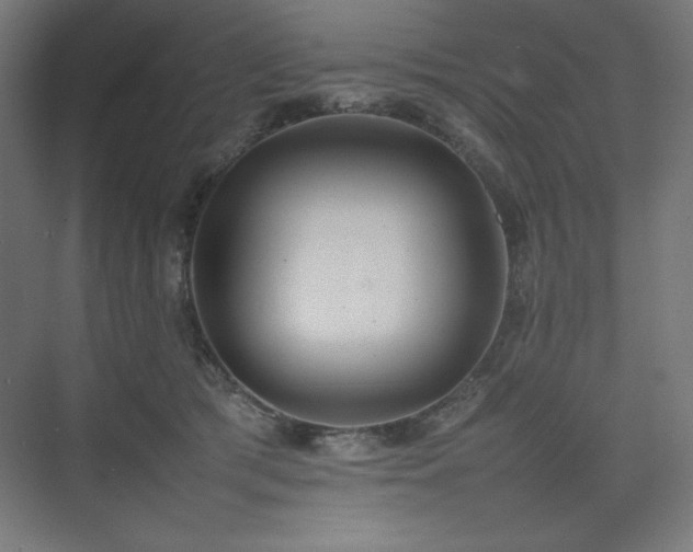 X0000074970417200609011221