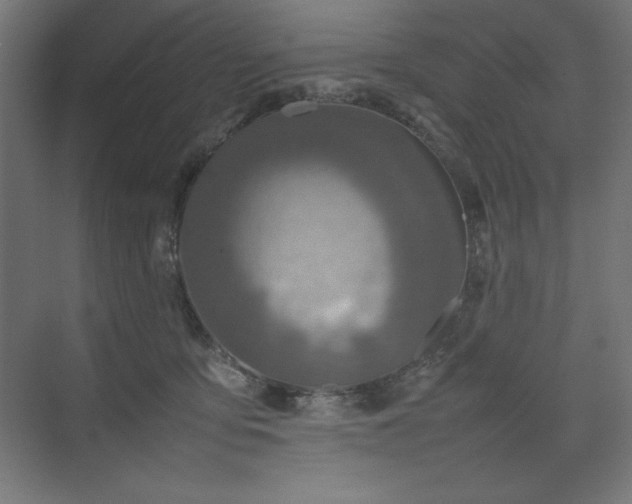 X0000074970419200609011221