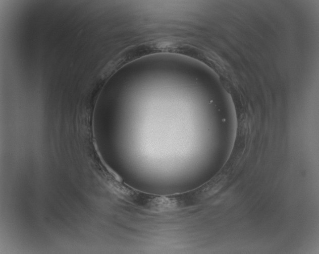 X0000074970421200609011221