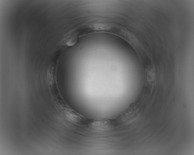 X0000074970422200609011221