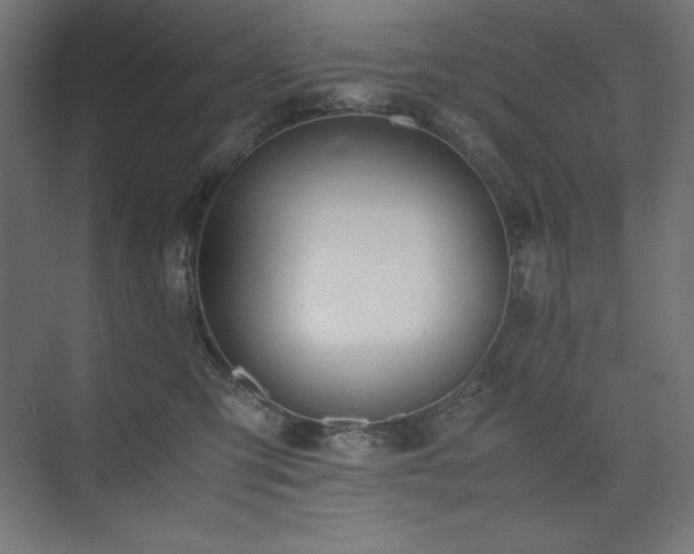 X0000074970423200609011221