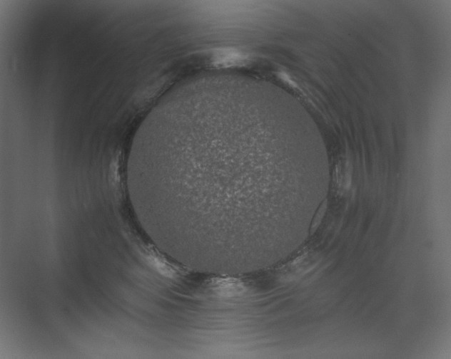 X0000074970424200609011221