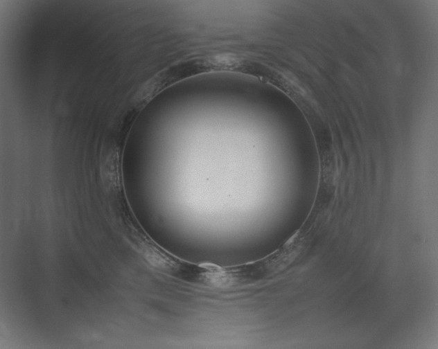 X0000074970425200609011221