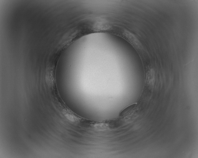 X0000074970426200609011221