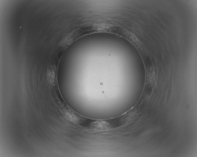 X0000074970427200609011221