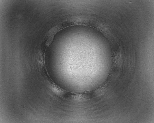 X0000074970430200609011221