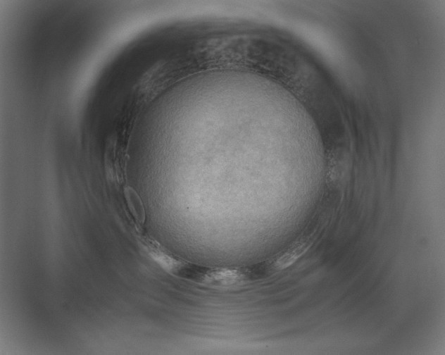 X0000074970431200609011221