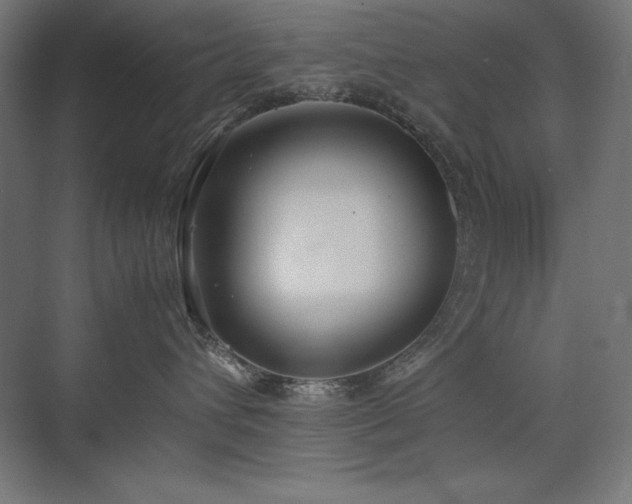 X0000074970432200609011220