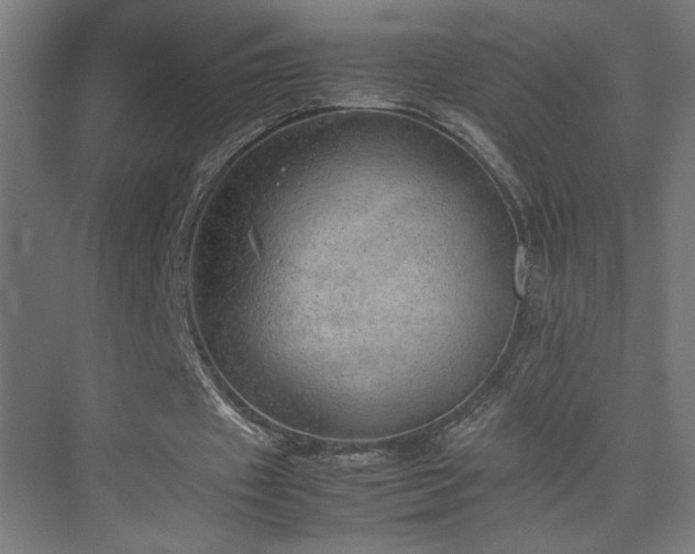 X0000074970433200609011220