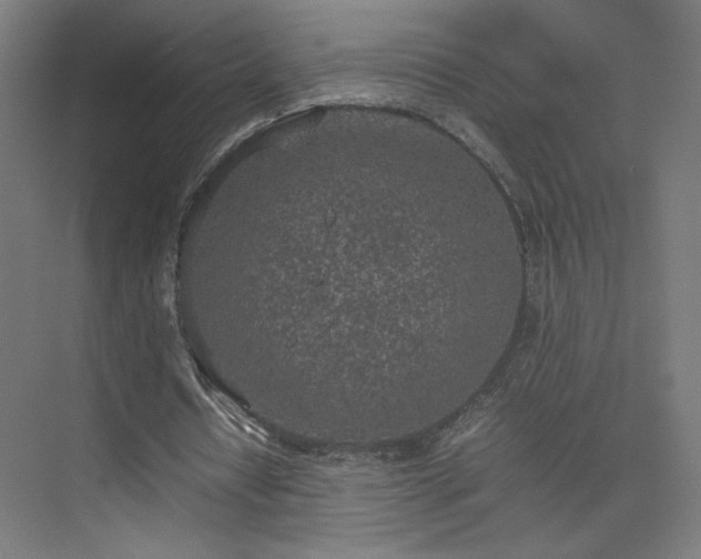 X0000074970434200609011220