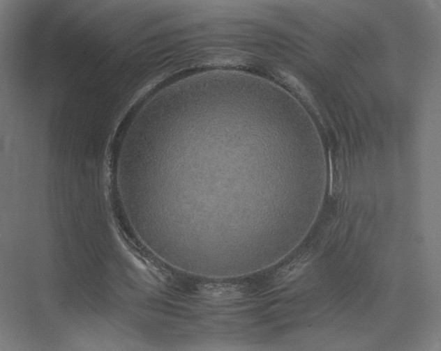 X0000074970435200609011220