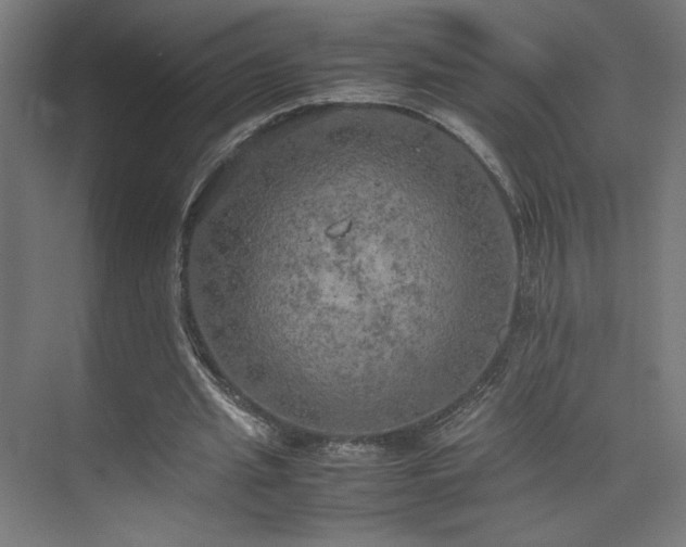 X0000074970437200609011220