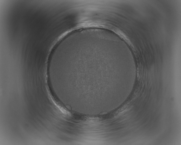 X0000074970438200609011220