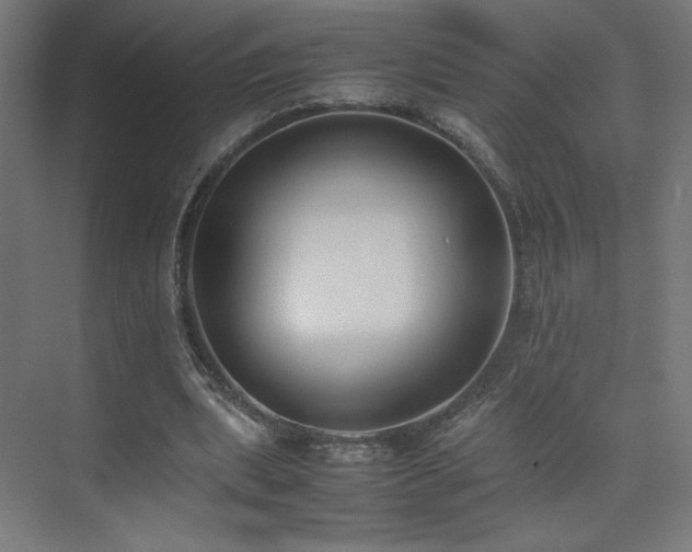 X0000074970439200609011220