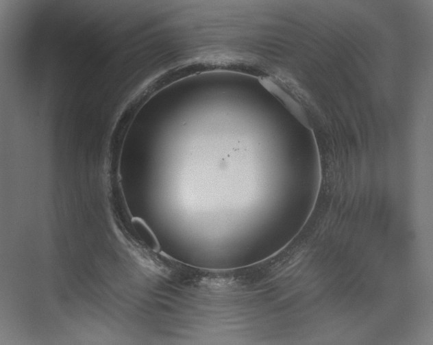 X0000074970440200609011220