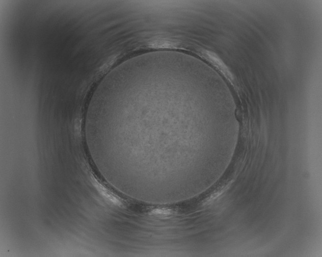 X0000074970441200609011220