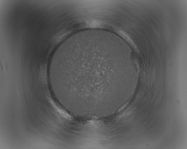 X0000074970442200609011220