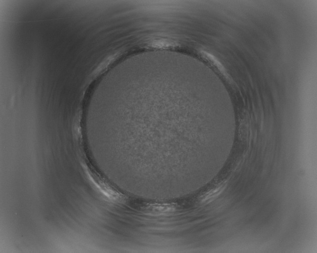 X0000074970443200609011220