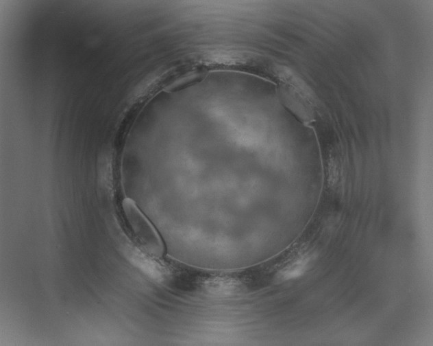 X0000074970444200609011220