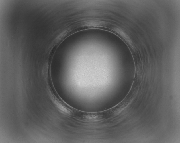 X0000074970445200609011220