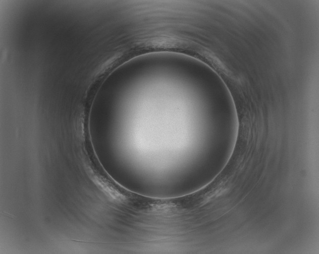 X0000074970446200609011220