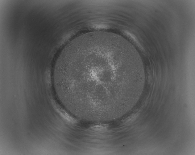 X0000074970447200609011220