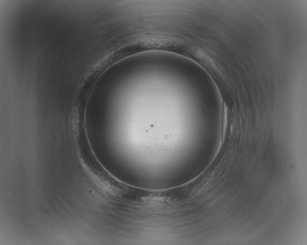 X0000074970448200609011220