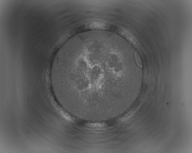 X0000074970449200609011220