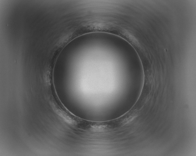 X0000074970450200609011220