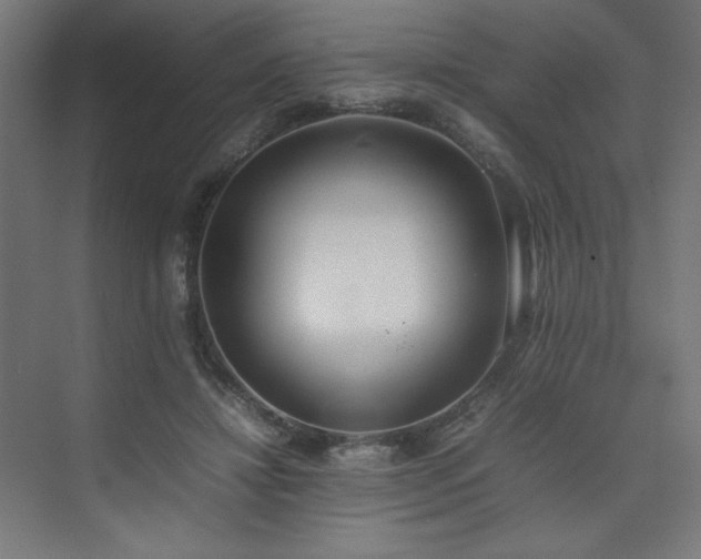 X0000074970452200609011220