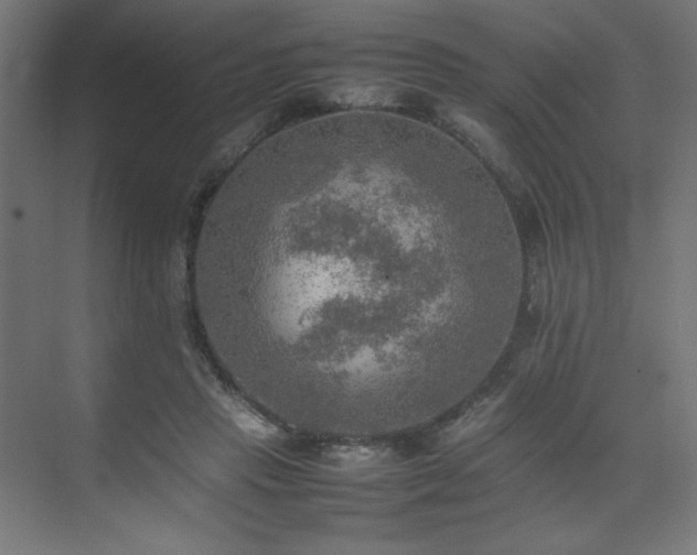 X0000074970453200609011220