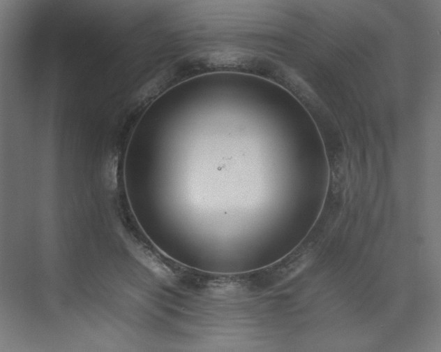 X0000074970454200609011220