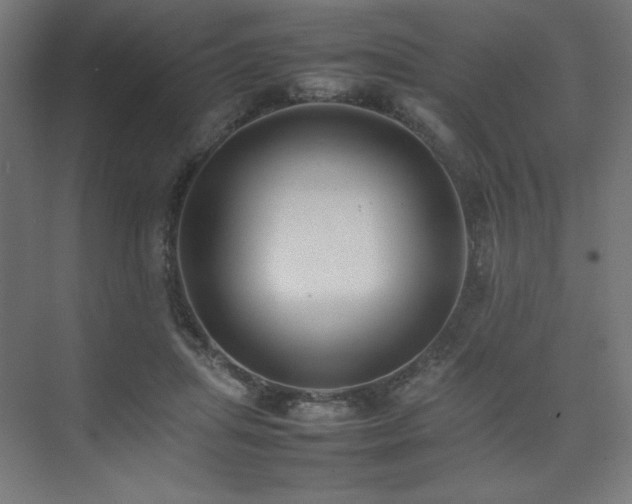 X0000074970455200609011220