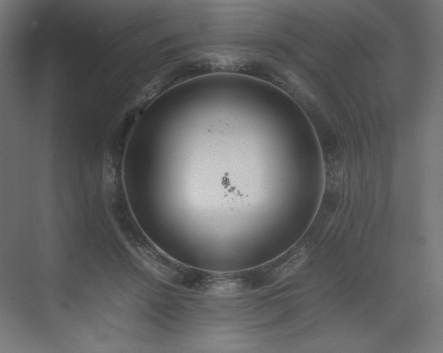 X0000074970456200609011220