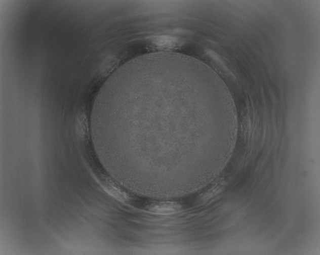 X0000074970459200609011220