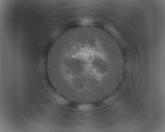 X0000074970461200609011220