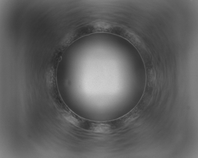 X0000074970463200609011220