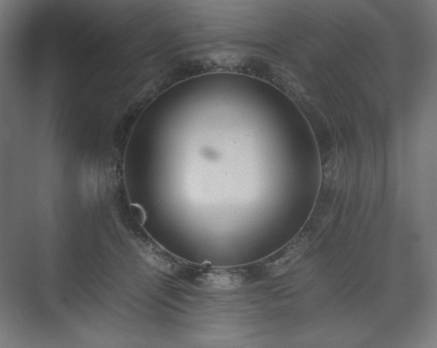 X0000074970464200609011220