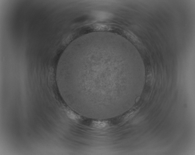 X0000074970469200609011220