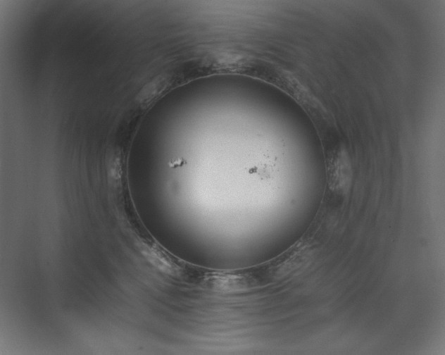 X0000074970472200609011220