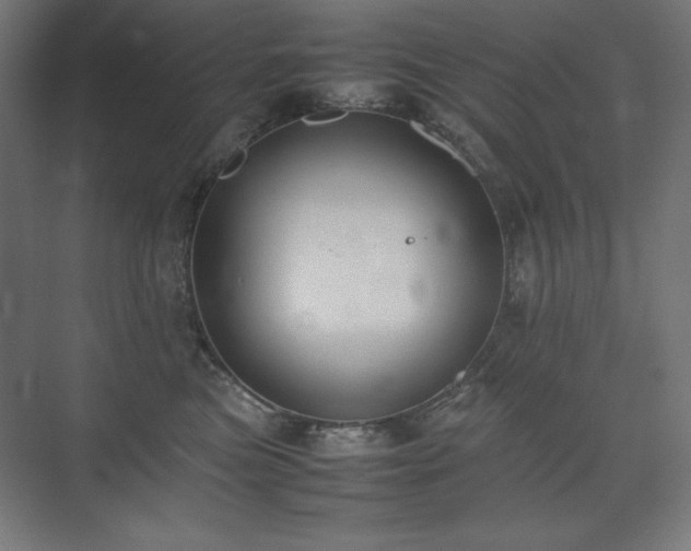 X0000074970473200609011220