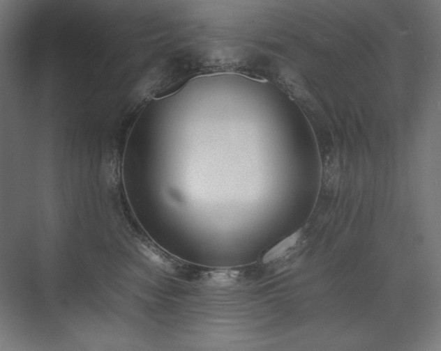 X0000074970474200609011220