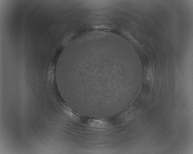 X0000074970475200609011220