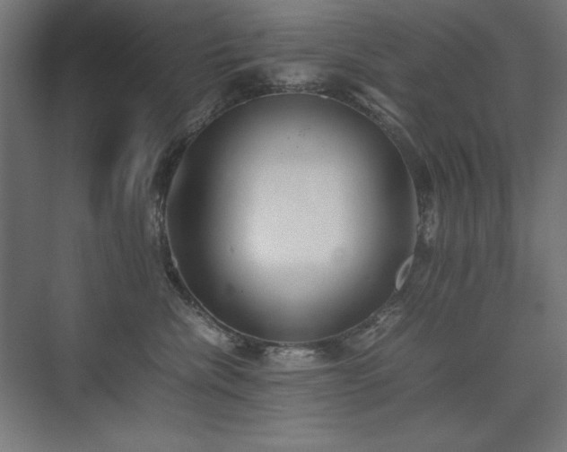 X0000074970476200609011220