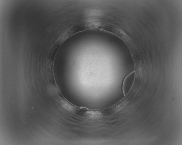 X0000074970477200609011220