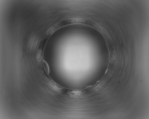 X0000074970478200609011220