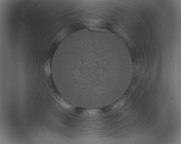 X0000074970479200609011220