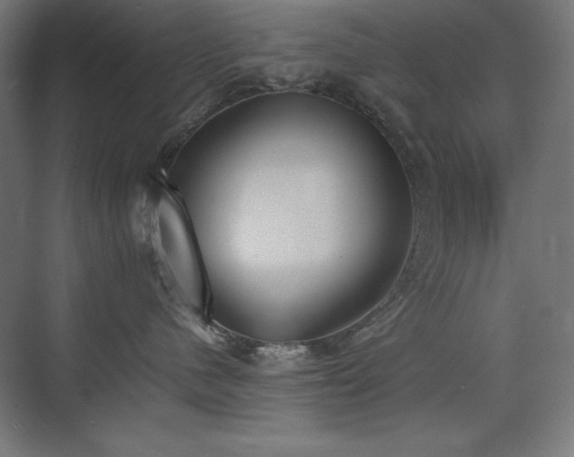 X0000074970480200609011220