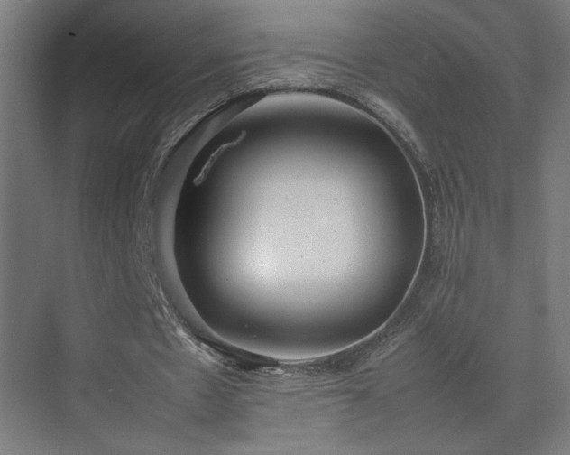 X0000074970481200609011220