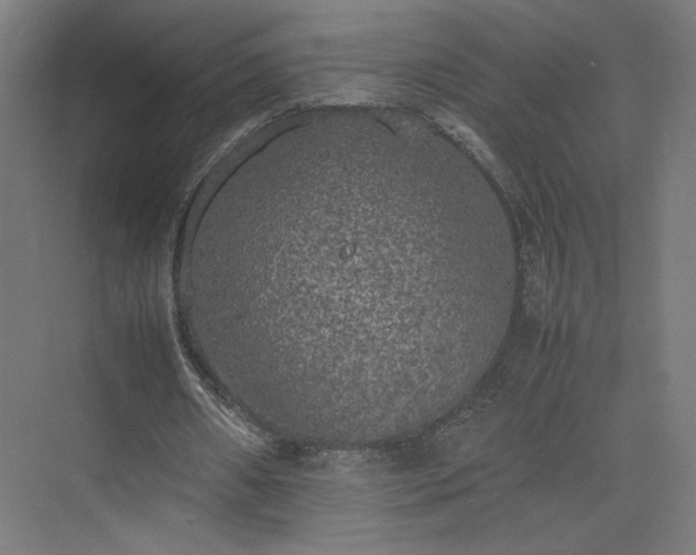 X0000074970482200609011220